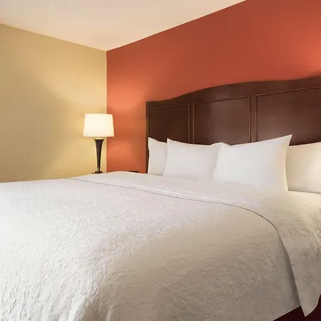 Hampton Inn Battle Creek-3
